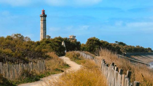 Rodano-Alpi, Avignone, ìle-de-France e Parigi